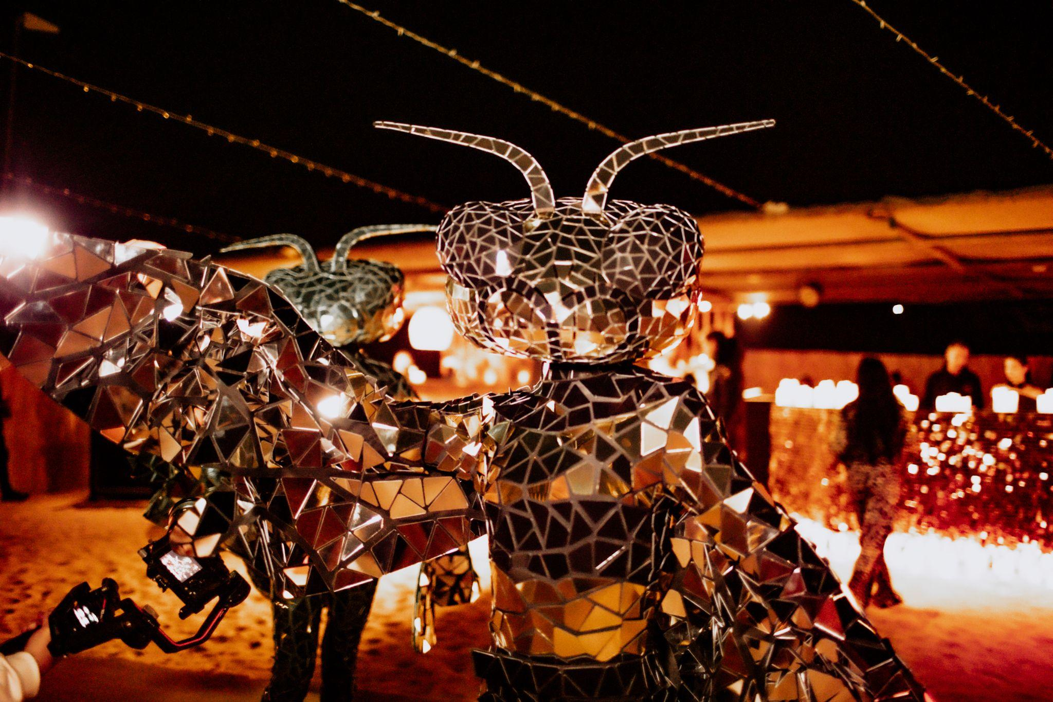 Девушки в оригинальных костюмах пчел во время вечеринки Melbet «Вечер звезд»
