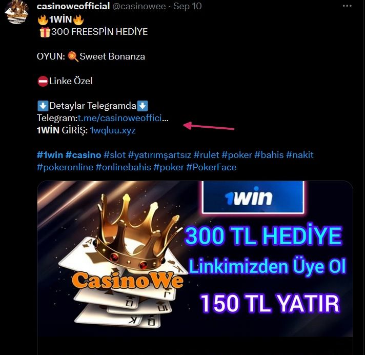 УБТ с Твиттера под Турцию