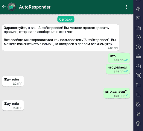 Проверка заданных настроек для AutoResponder