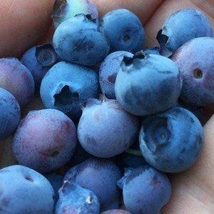 Компоненты для крео