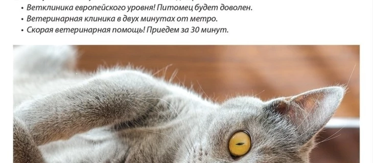 Как разработать и протестировать рекламные креативы ВК?