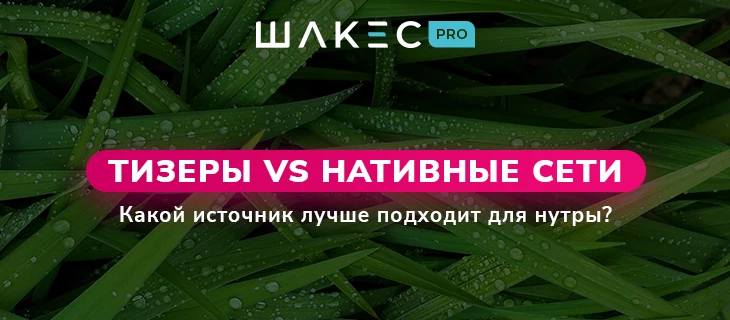 Тизеры VS нативные сети: какой источник лучше подходит для нутры?
