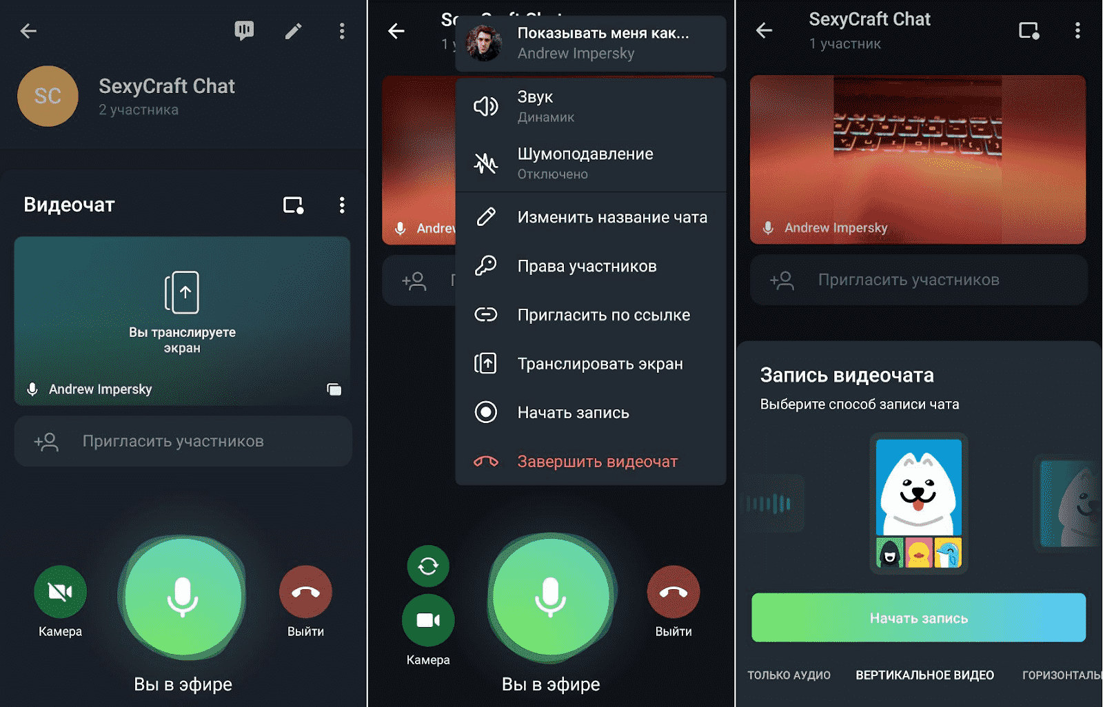 Настройки, доступные во время трансляции в Телеграм
