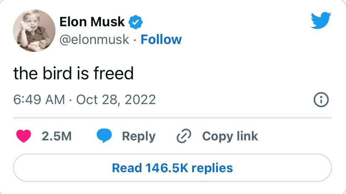 Твит Илона Маска после покупки платформы