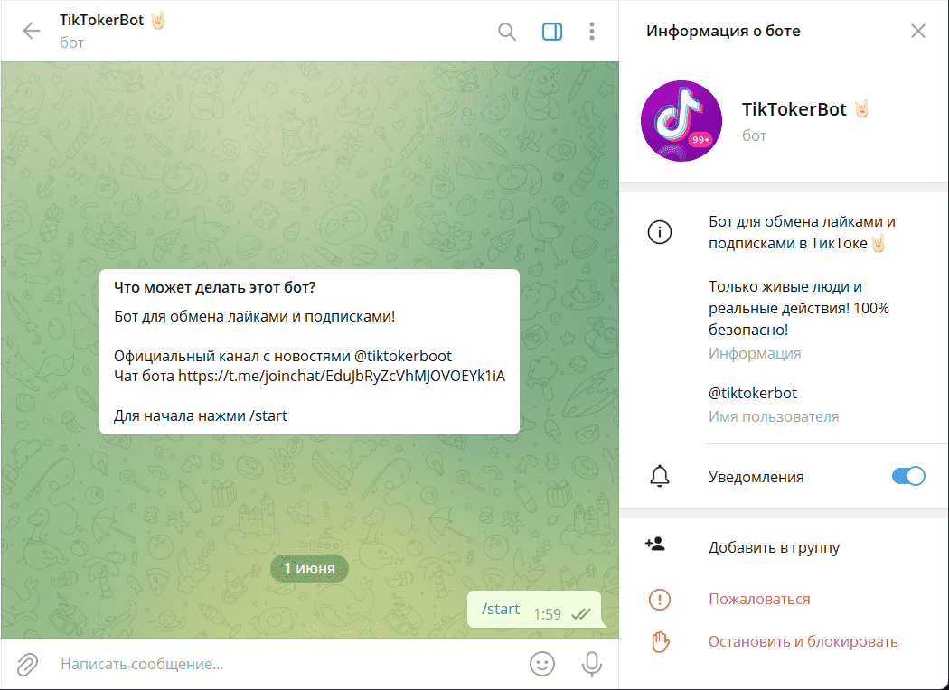 Интерфейс Tiktokerbot