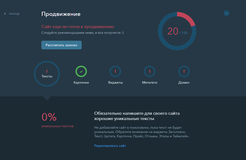 Проверка сайта на готовность к продвижению