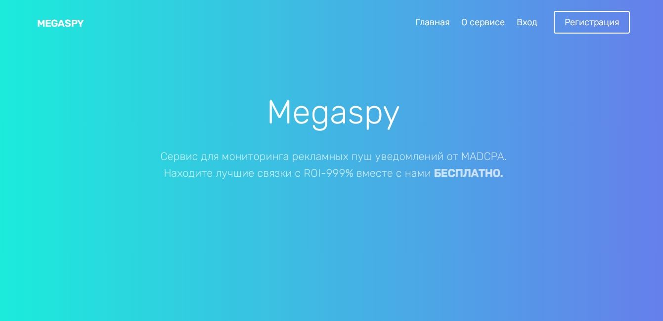Главная страница сервиса Megaspy