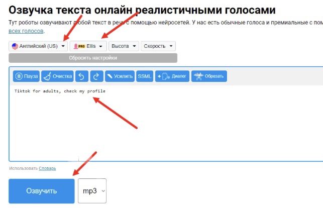Интерфейс zvukogram