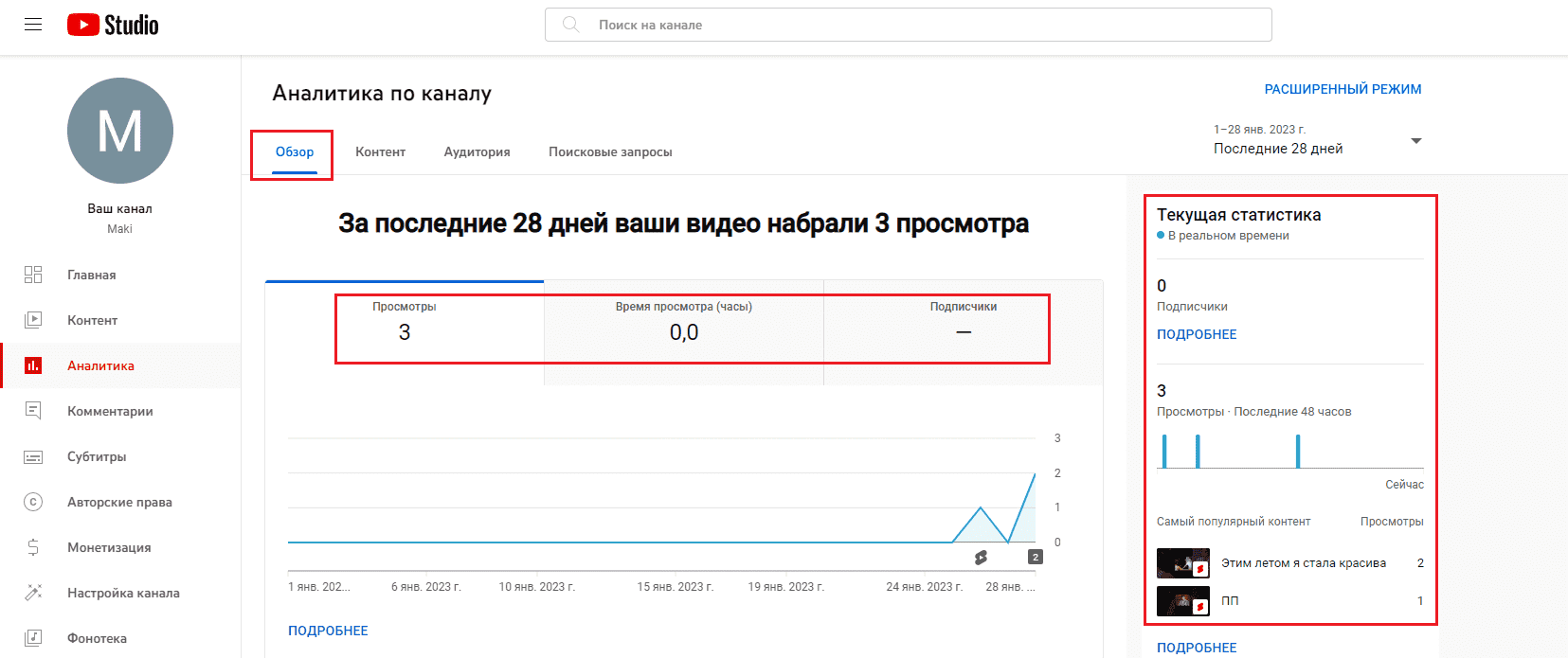 Аналитика YouTube Shorts 