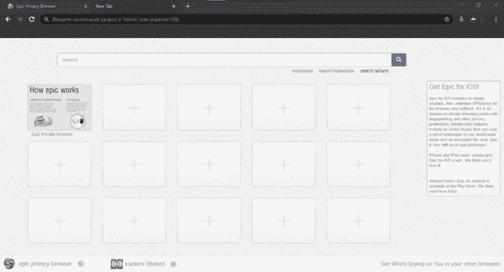 Epic Browser Interface