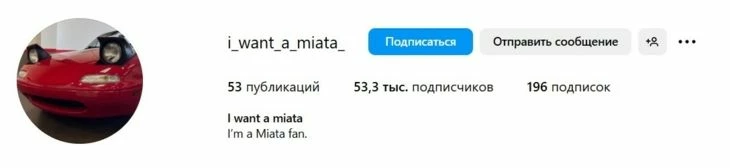 Никнейм в Инсте, в котором отражена мечта его владельца