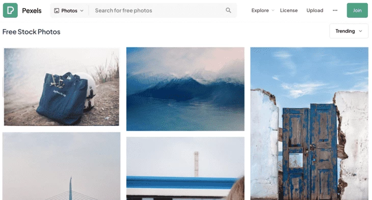 Image examples from Pexels