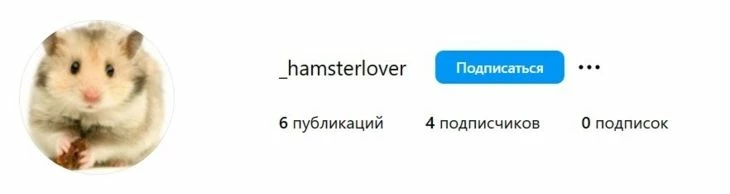 Любитель хомяков - ник в Инсте для любителя животных