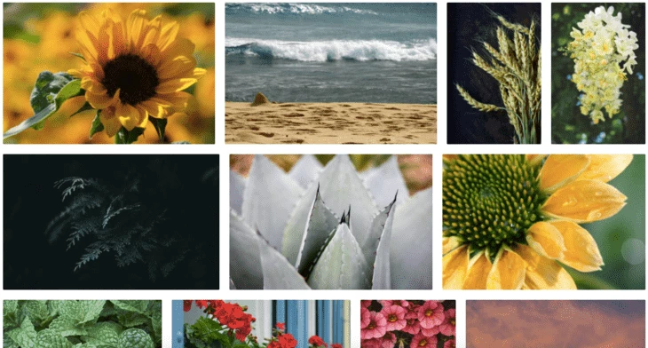 Image examples from ISO Republic