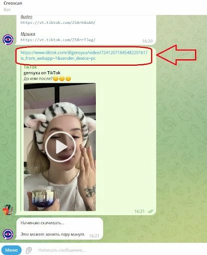 Отправка видео боту для удаления водяного знака ТикТок