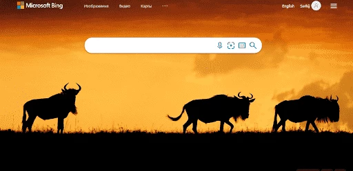 Доступ к нейросети Бинг для пользователей из России