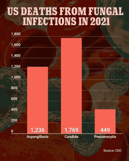2021 год — почти 3500 смертей от грибка. И это только 3 вида и только в США. Для сравнения — от гриппа в США в том же году умерло около 4500 человек