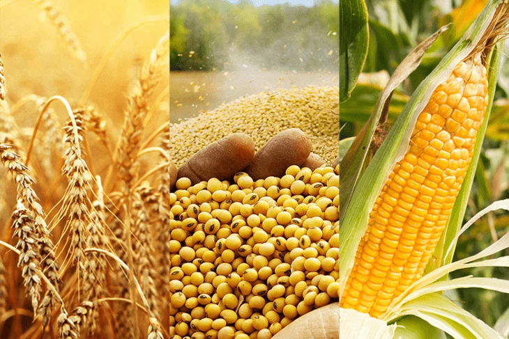 Сельхозпродукция 