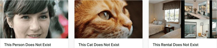Examples of pictures generated by This X Does Not Exist