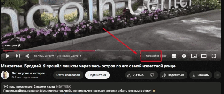 Расширение добавляет на панель плеера кнопку Screenshot