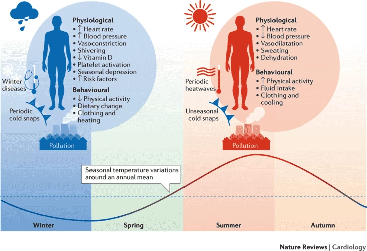 Seasonal variations in cardiovascular disease