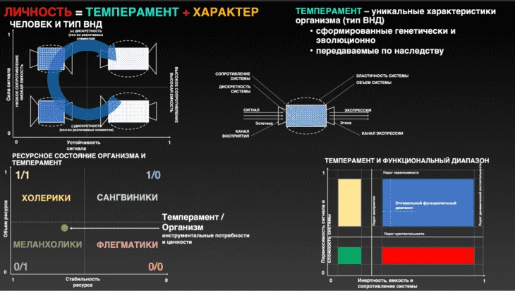 Нейромаркетинг в красном океане виртуальных карт: практическое пособие по нейромаркетингу в арбитраже трафика от компани - Traffic Cardinal Блог4