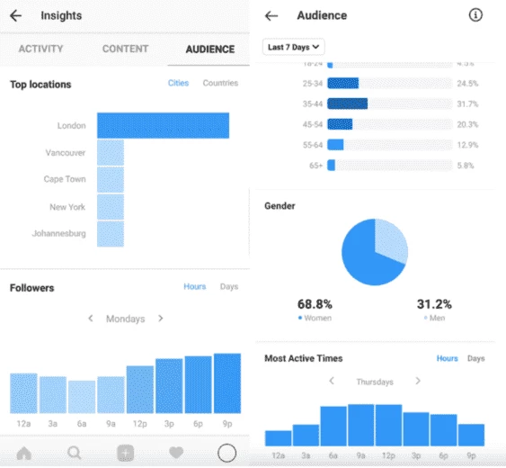 Audience tab in Instagram business account