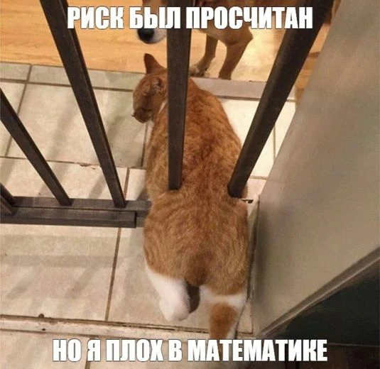 Взвешивание рисков 