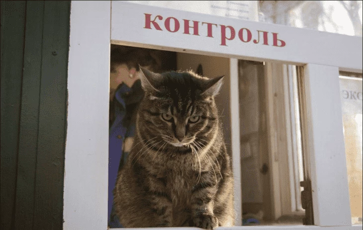 Контроль международных криптотранзакций регуляторами