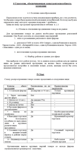 Пример маркетинговой стратегии в бизнес-плане