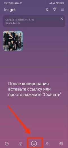 Интерфейс Insget (скачивает также reels и Истории)