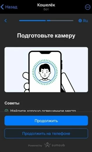 Экран прохождения проверки по видео