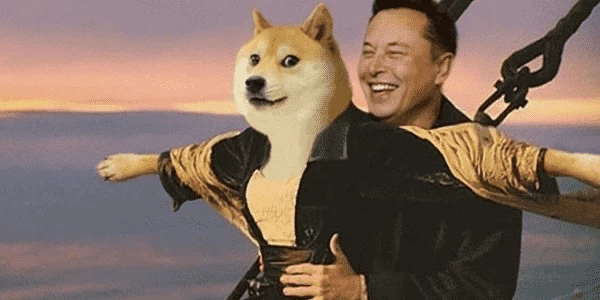 Илон Маск и DOGE 