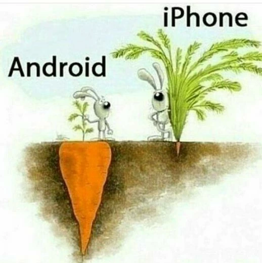 Сразу видно, где красивее