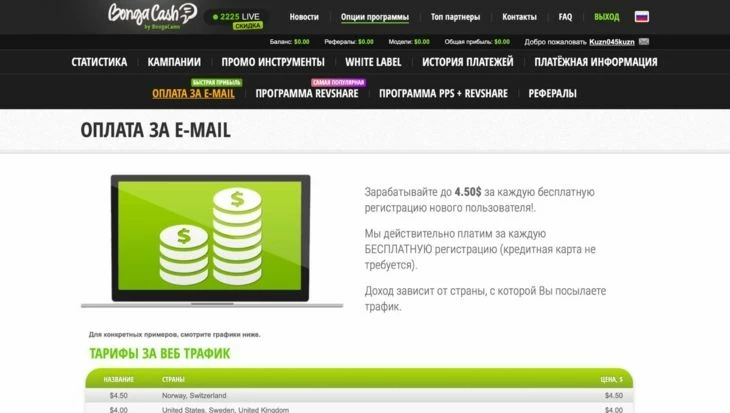 Раздел «Опции программы»