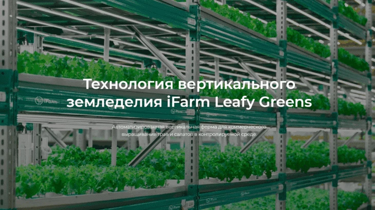 iFarm - стартап с успешной историей