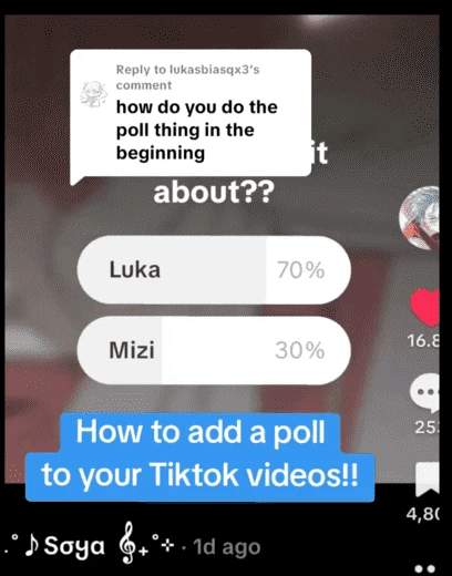 Polls (source: @tillsguitarpick)