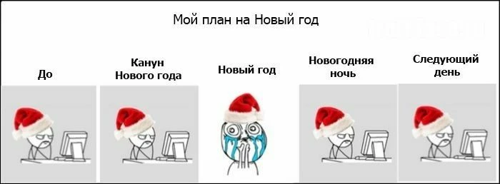 Даже статка знает, что НГ — святое! 