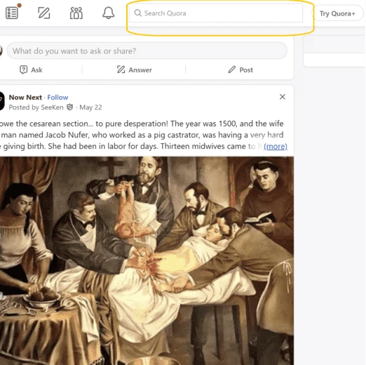 The search bar