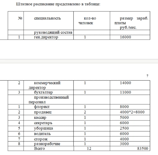 Организационная структура в бизнес-плане - пример