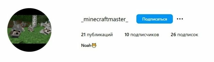 Придумать ник для Инсты можно на основе хобби