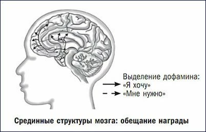 Не все, чего вы хотите — реально хотите вы