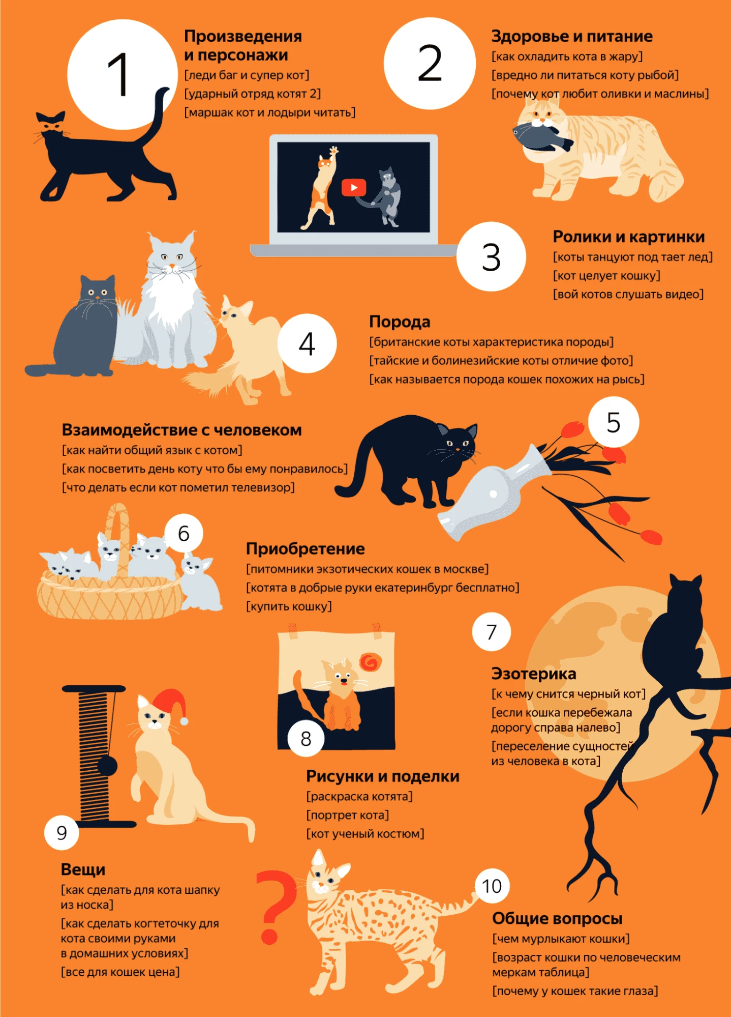 Инфографика от Яндекс-аналитики — развлекательный контент входит в ТОП-3 запросов, имеющих ключевые слова, связанные с котами