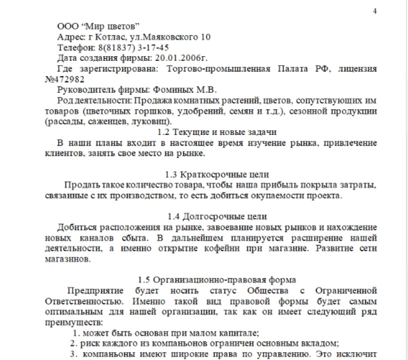 Описание в бизнес-плане компании