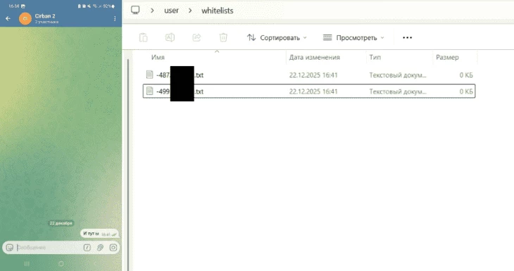 Создаем второй чат, в котором будет вестись фильтрация кружков. Инициируем создание БС, написав в него любое сообщение. Видим, что файла стало два