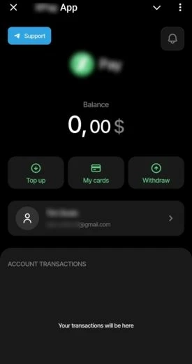 Пример интерфейса платежного бота