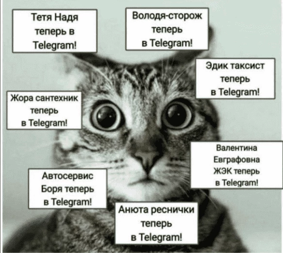 Приватность начинается с мелочей
