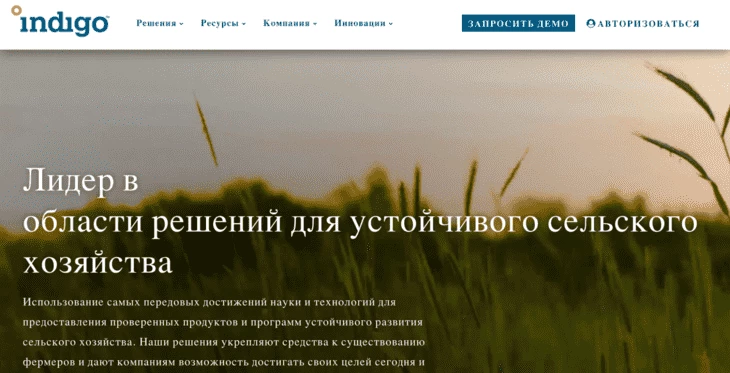 Интерфейс сайта Indigo Carbon