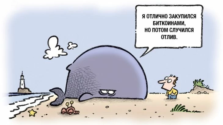 Как криптокиты влияют на котировки на рынке