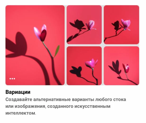 Выбор вариантов в Shutterstock.AI